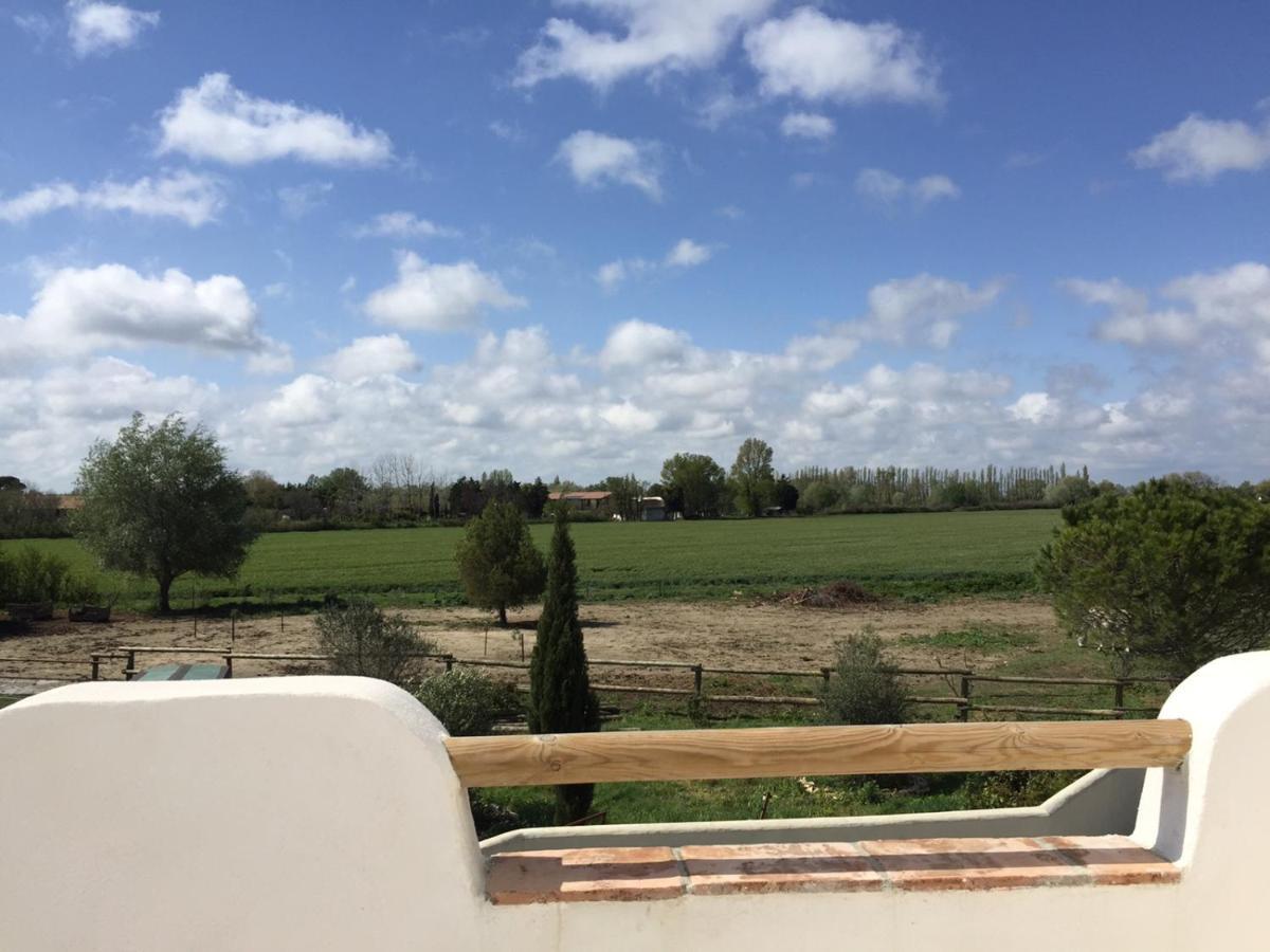 Les Maisons Du Paty Arles Ngoại thất bức ảnh