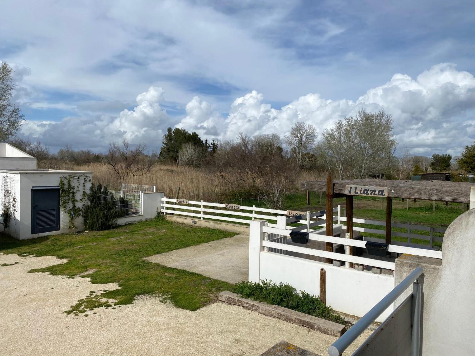 Les Maisons Du Paty Arles Ngoại thất bức ảnh